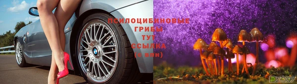 прущая мука Богородск