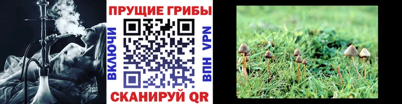 Псилоцибиновые грибы GOLDEN TEACHER  Купить закладки  Мамоново 